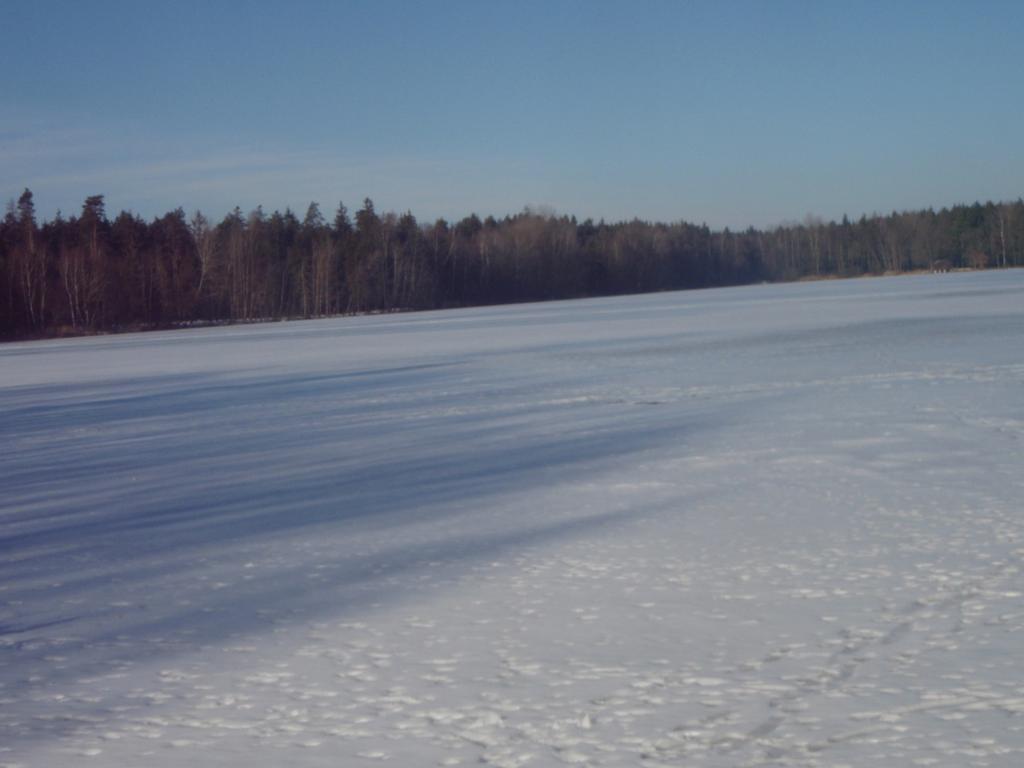 Penzion U Blatce Nové Hrady Exterior foto